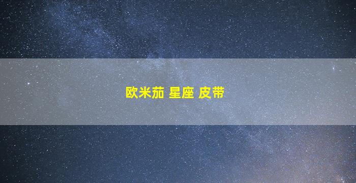 欧米茄 星座 皮带